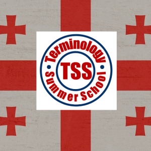 The flag of Georgia with the TSS logo